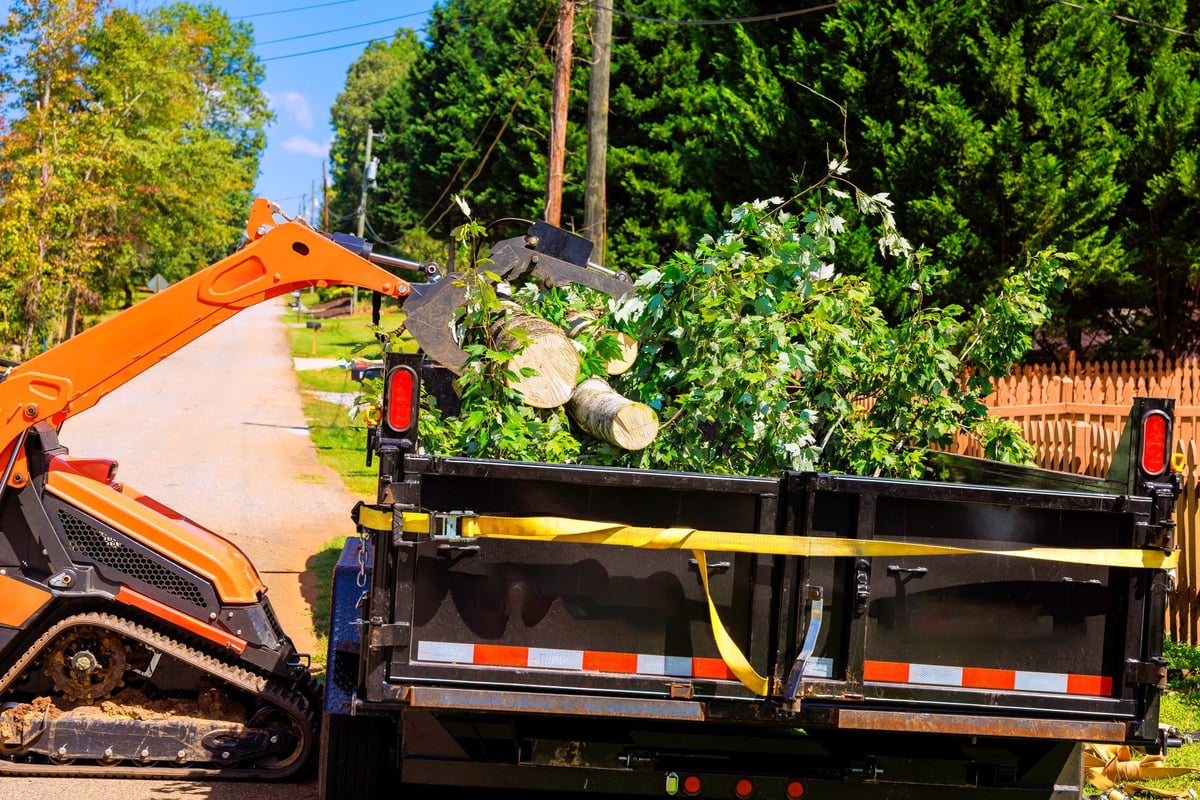 Crawler tractor loader collects branches debris from neighborhood road
